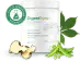DigestSync Bottle